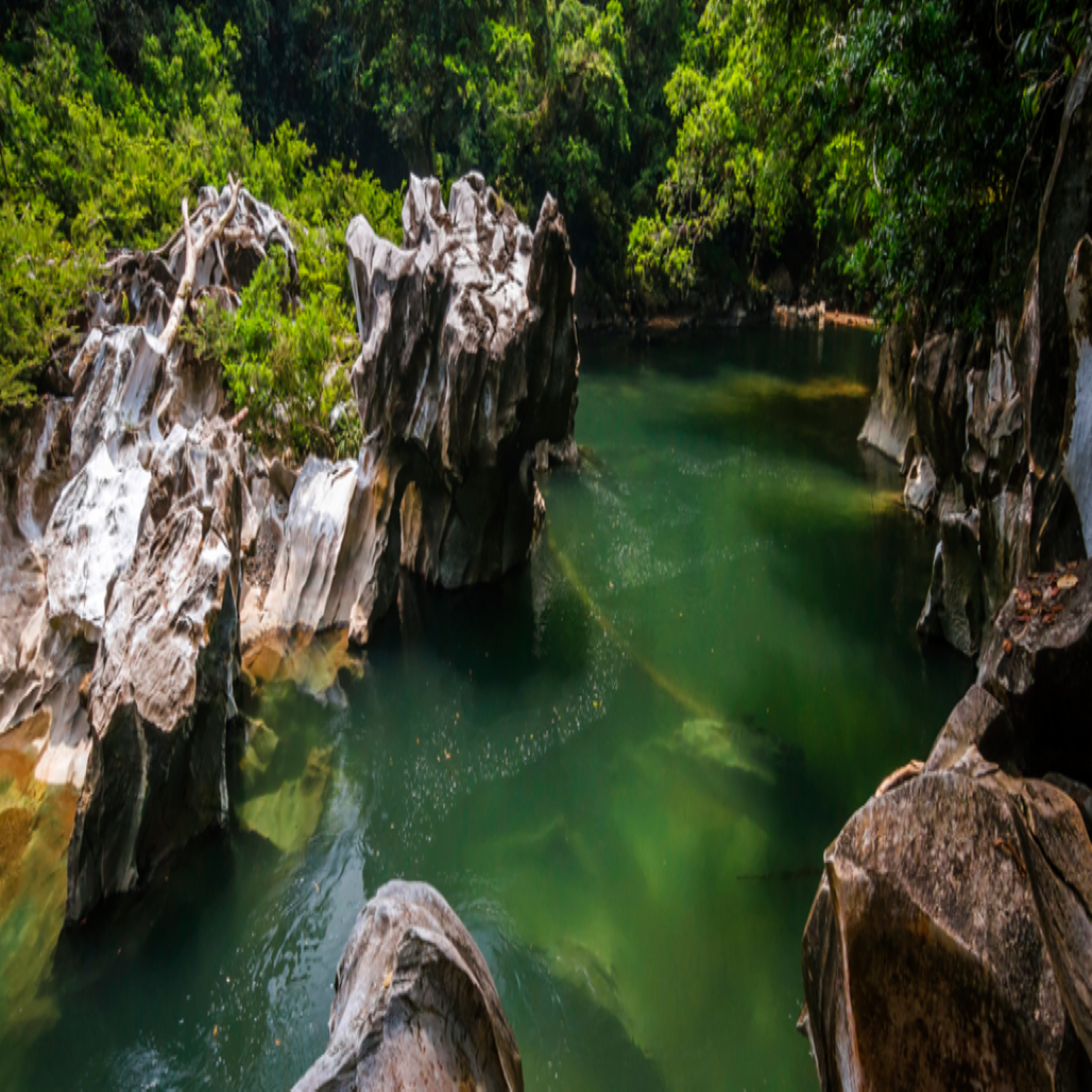 Alquiler de vehículos en Rionegro. viaja a un paraiso escondido, Cañon del río claro Alquiler de vehículos en Rionegro. viaja a un paraiso escondido, Cañon del río claro