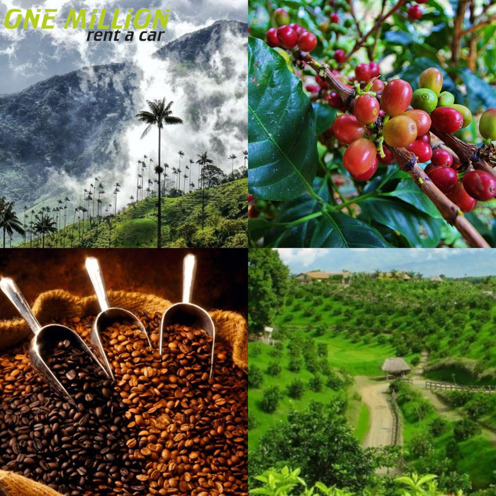 Alquiler de camionetas de Medellín parque del café